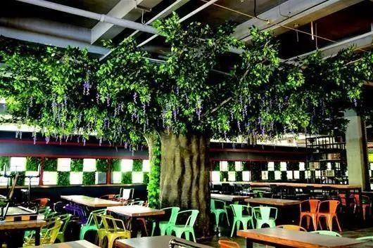 banyan tree