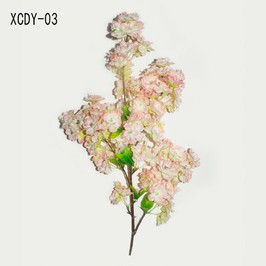 light pink blossom stem light pink blossom stem