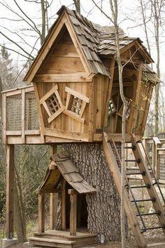treehouse cases