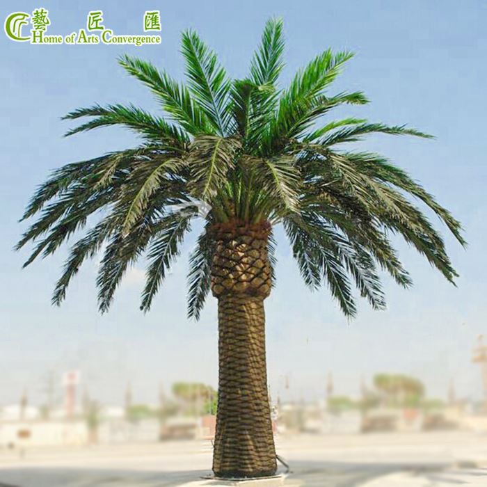 Large Palm Trees For Sale
