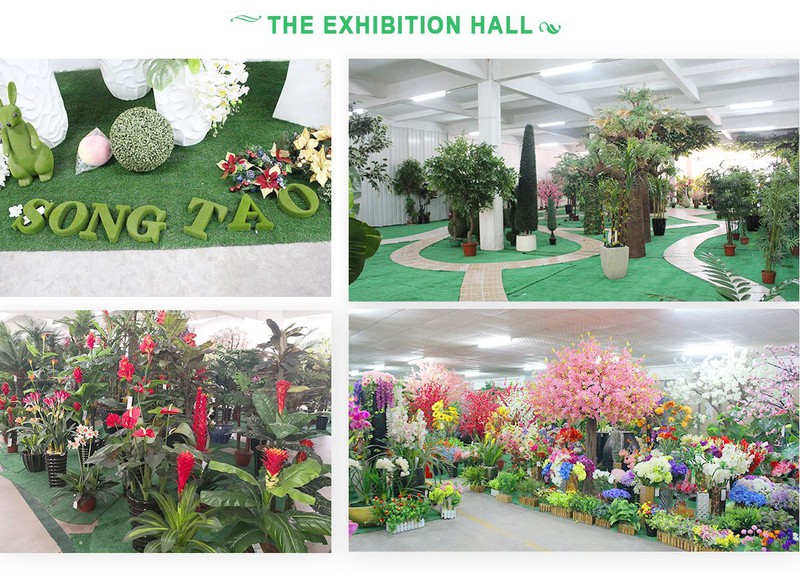 HAC showroom HAC showroom