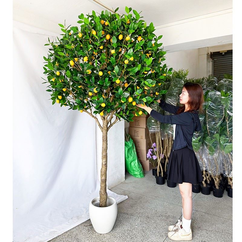 Realistic Fake Lemon Tree