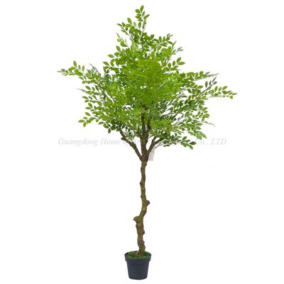 Premium Faux Elm u saksiji biljka