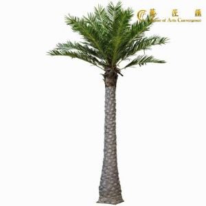 Mini datuma Palm Tree