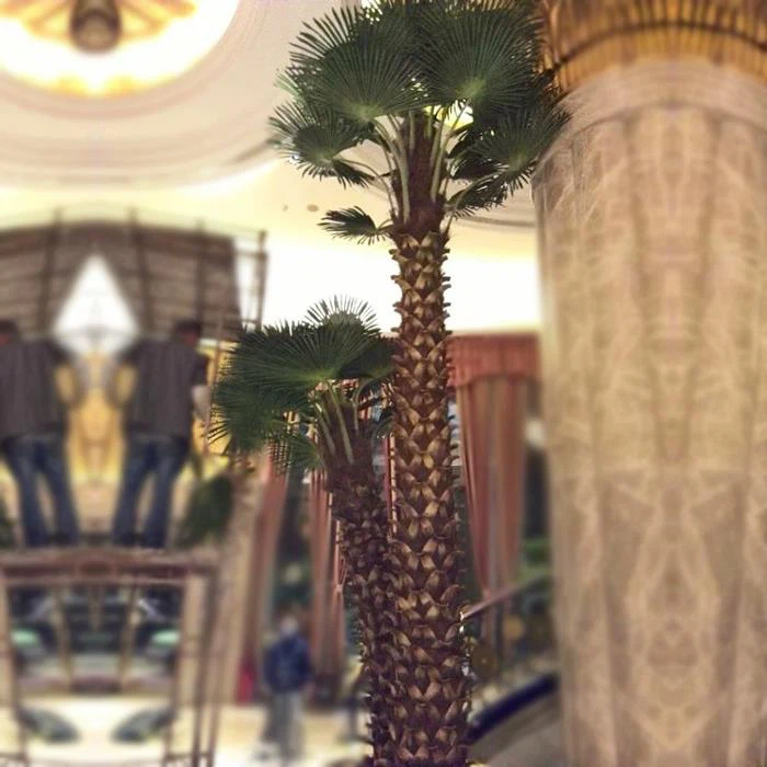 Hotel Umjetno umjetno pranje - Filifera Palm Tree