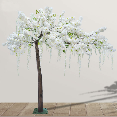 Pozdrav Cherry Blossom Tree Bijeli wisteria cvijet