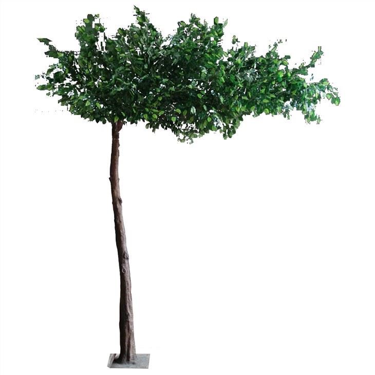 320cm Fake Canopy Ficus Tree